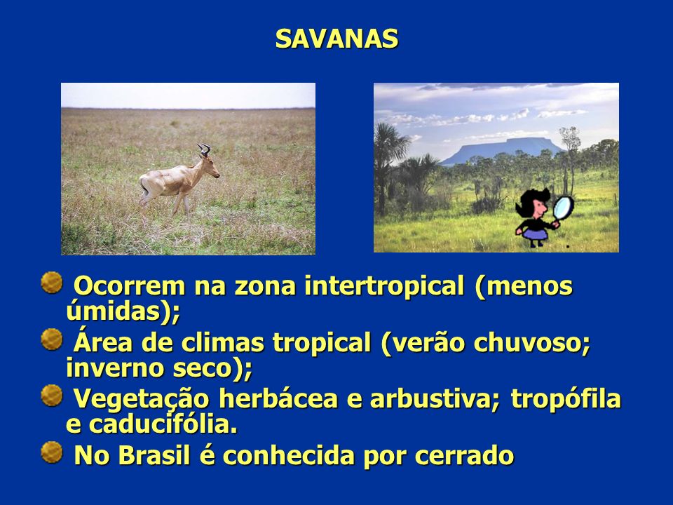 SAVANAS Ocorrem na zona intertropical (menos úmidas); Área de climas tropical (verão chuvoso; inverno seco);
