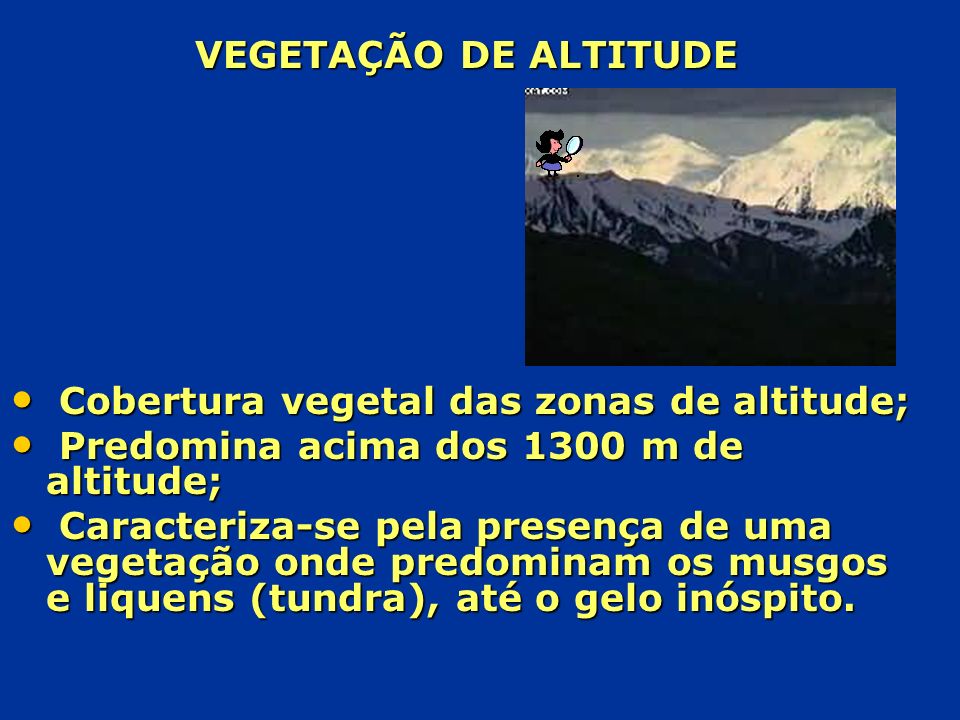 VEGETAÇÃO DE ALTITUDE Cobertura vegetal das zonas de altitude; Predomina acima dos 1300 m de altitude;