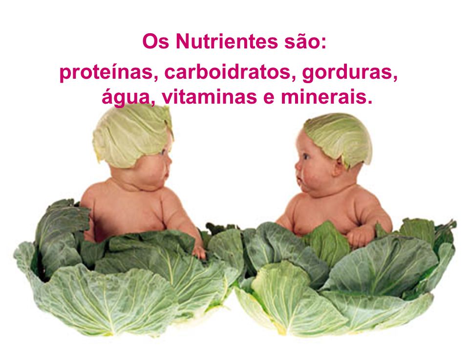 Os Nutrientes são: proteínas, carboidratos, gorduras, água, vitaminas e minerais.