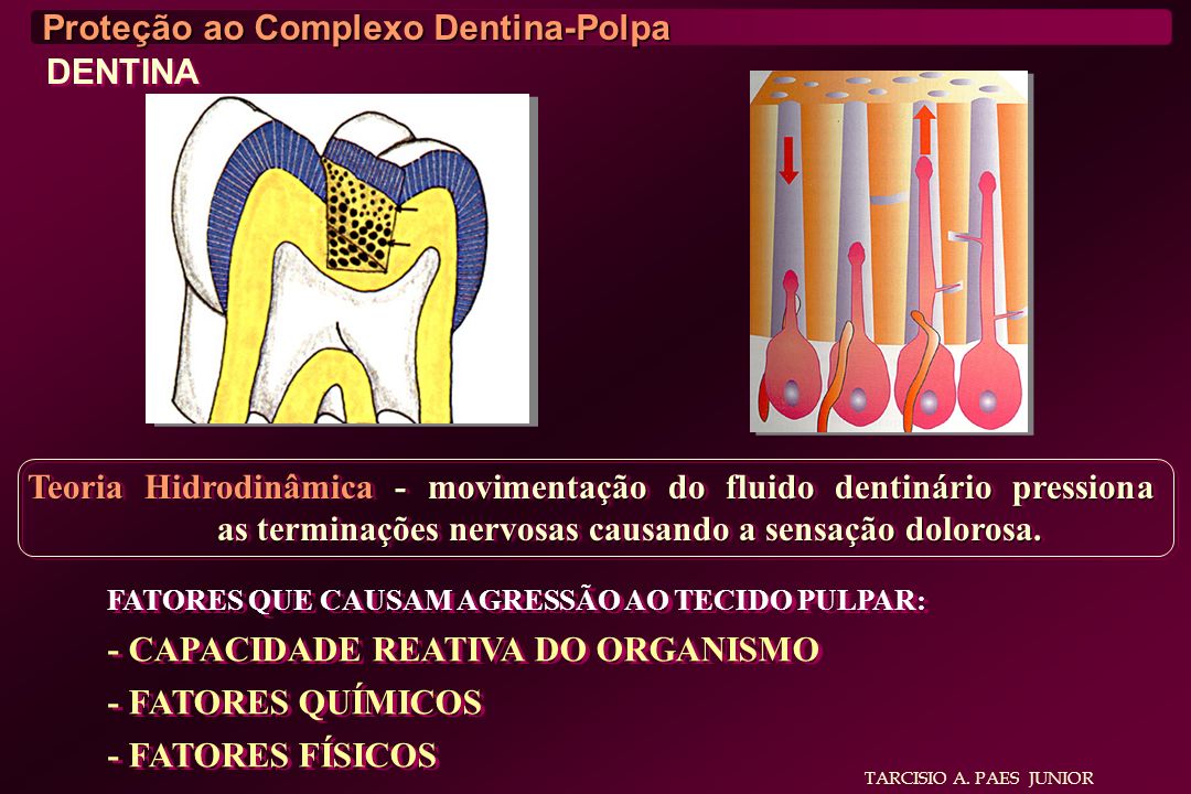 Proteção ao Complexo Dentina-Polpa DENTINA