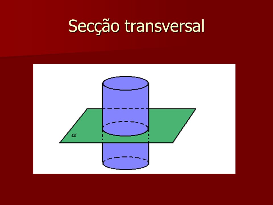 Secção transversal