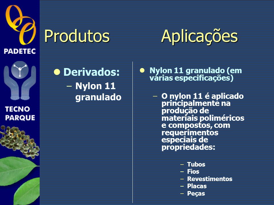 Produtos Aplicações Derivados: Nylon 11 granulado
