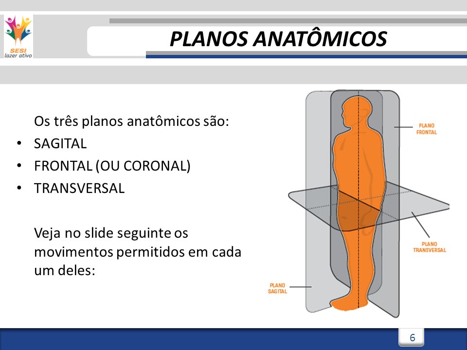 PLANOS ANATÔMICOS Os três planos anatômicos são: SAGITAL