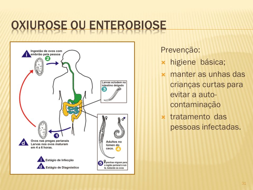 Oxiurose ou enterobiose