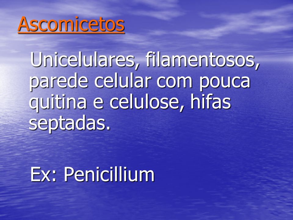 Ascomicetos Unicelulares, filamentosos, parede celular com pouca quitina e celulose, hifas septadas.