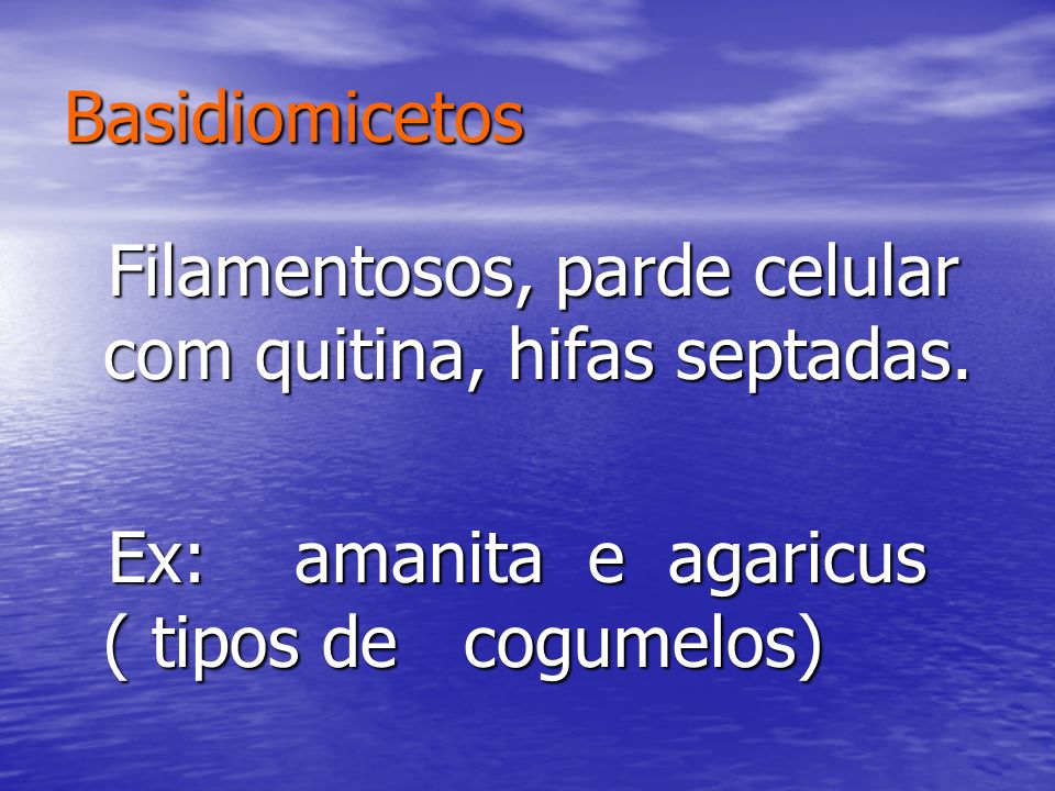 Ex: amanita e agaricus ( tipos de cogumelos)
