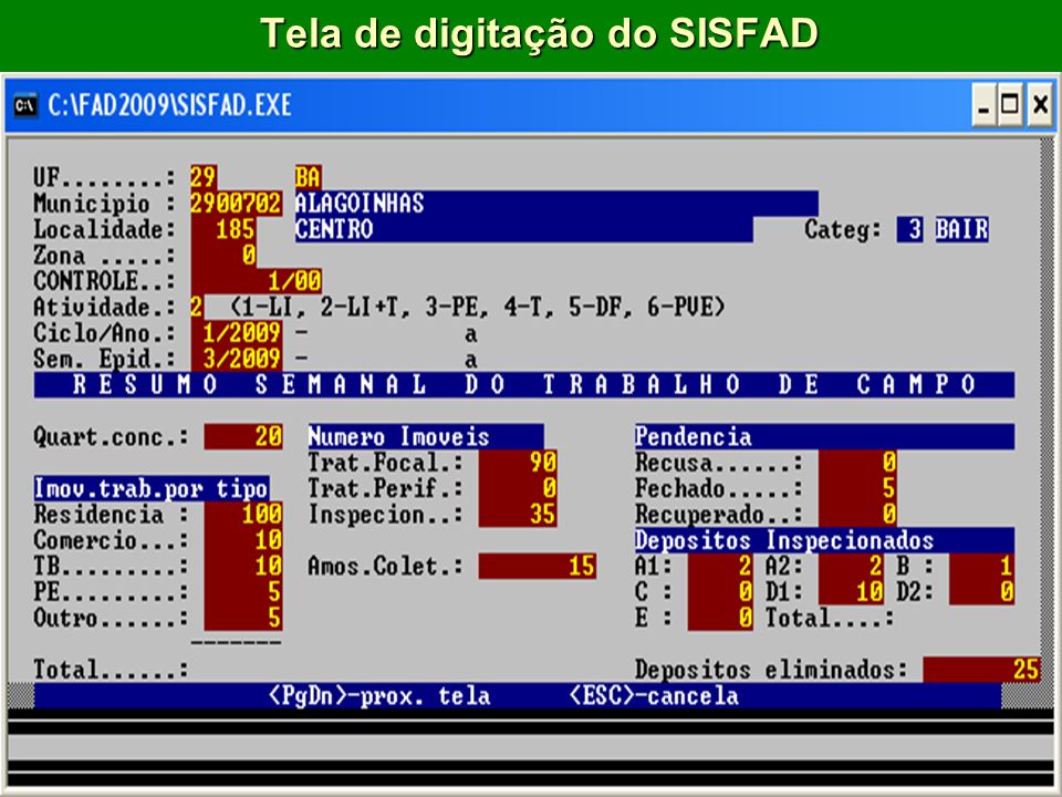 Tela de digitação do SISFAD