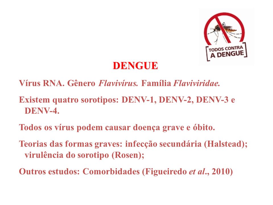 DENGUE Vírus RNA. Gênero Flavivírus. Família Flaviviridae.