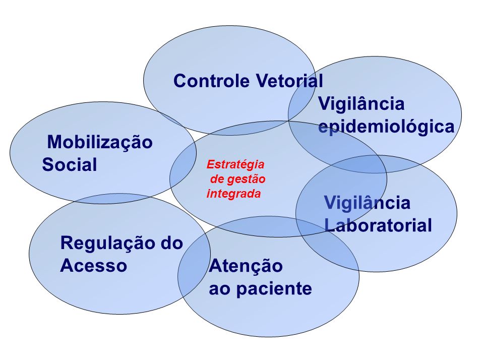Controle Vetorial Vigilância epidemiológica Mobilização Social