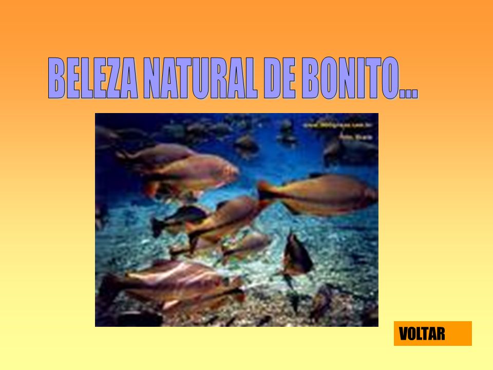 BELEZA NATURAL DE BONITO...