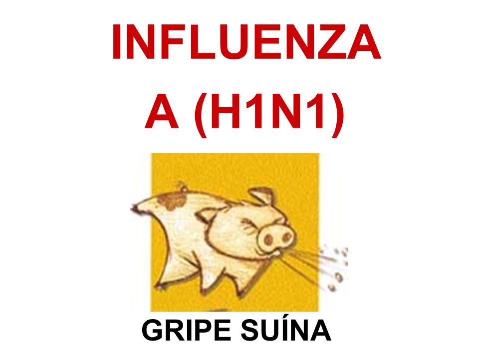 INFLUENZA A (H1N1) GRIPE SUÍNA