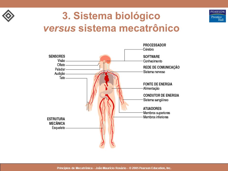 3. Sistema biológico versus sistema mecatrônico