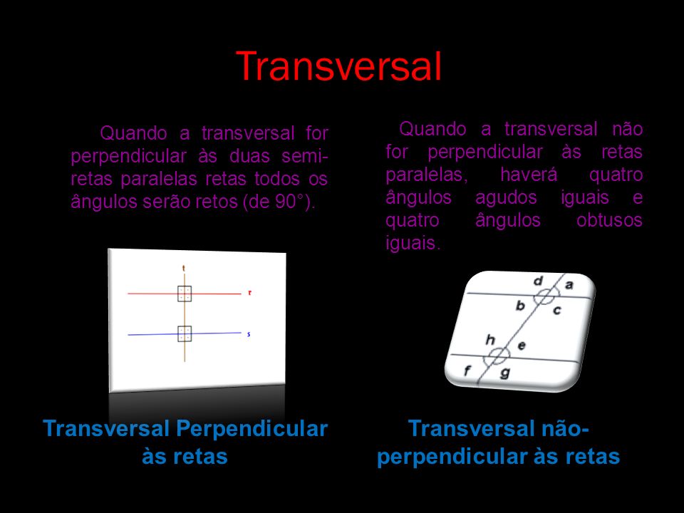 Transversal Transversal Perpendicular às retas