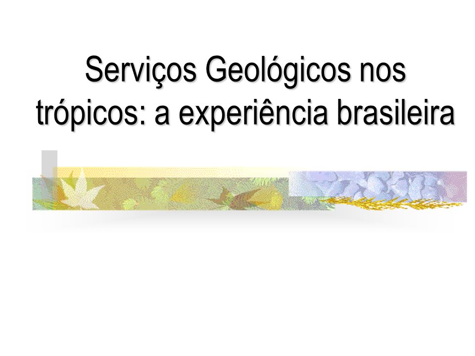 Serviços Geológicos nos trópicos: a experiência brasileira