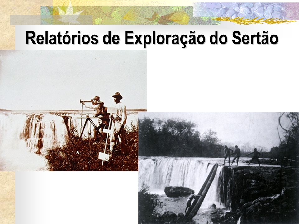 Relatórios de Exploração do Sertão