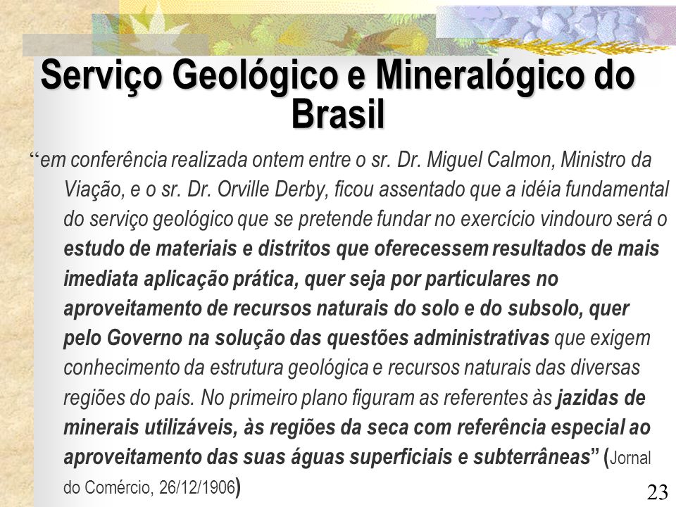Serviço Geológico e Mineralógico do Brasil