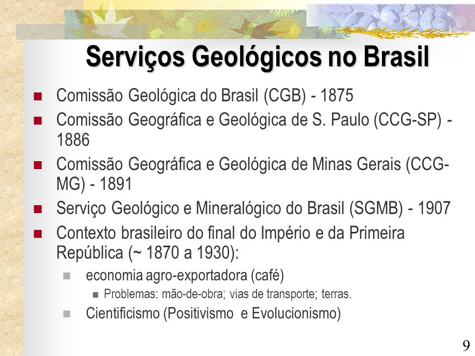 Serviços Geológicos no Brasil