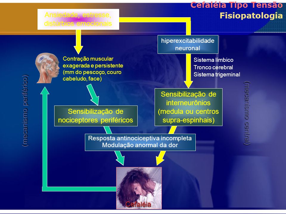 Cefaléia Tipo Tensão Fisiopatologia