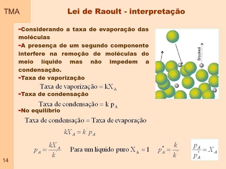 Lei de Raoult - interpretação