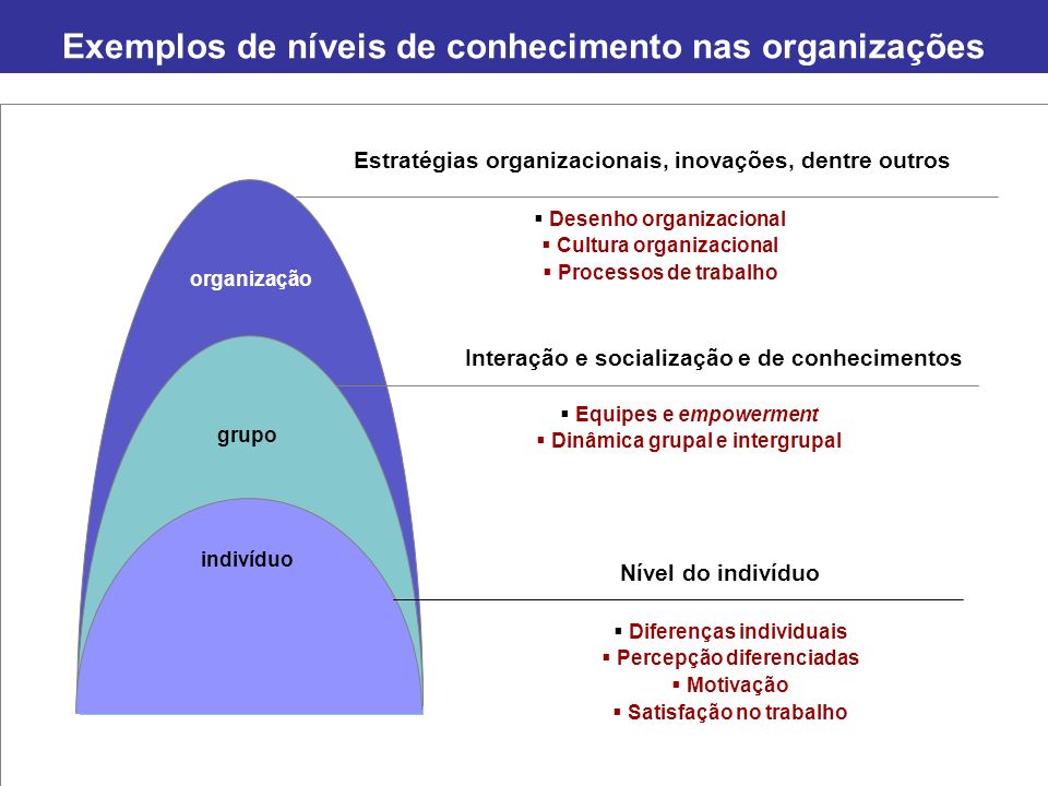 Exemplos de níveis de conhecimento nas organizações