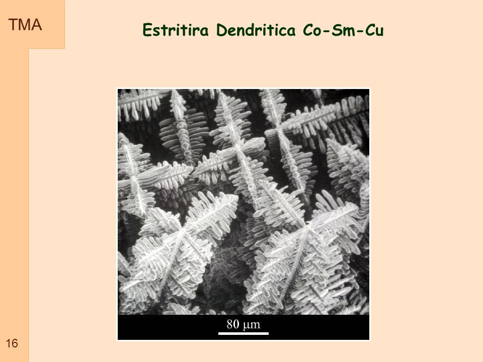 Estritira Dendritica Co-Sm-Cu