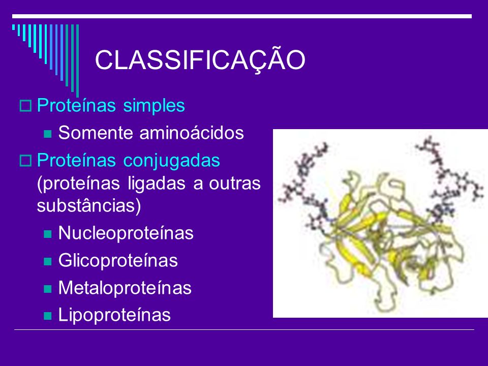 CLASSIFICAÇÃO Proteínas simples Somente aminoácidos