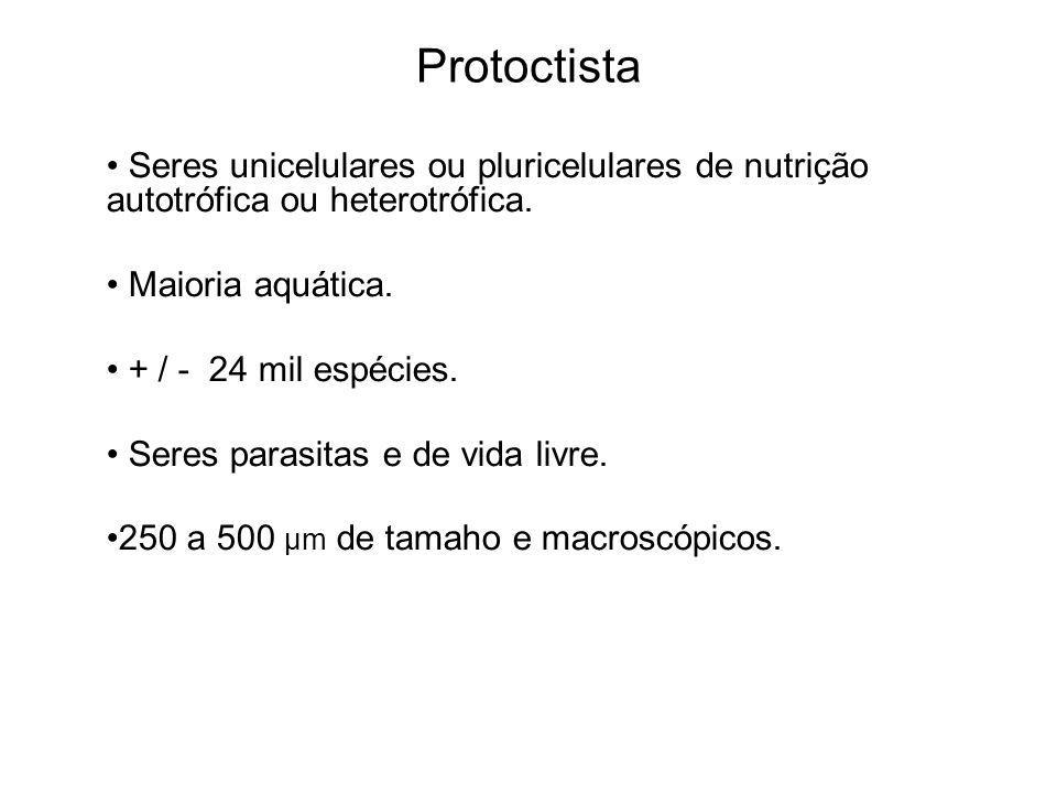 Protoctista Seres unicelulares ou pluricelulares de nutrição autotrófica ou heterotrófica. Maioria aquática.