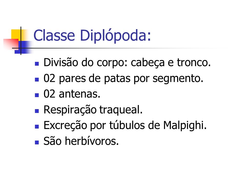 Classe Diplópoda: Divisão do corpo: cabeça e tronco.