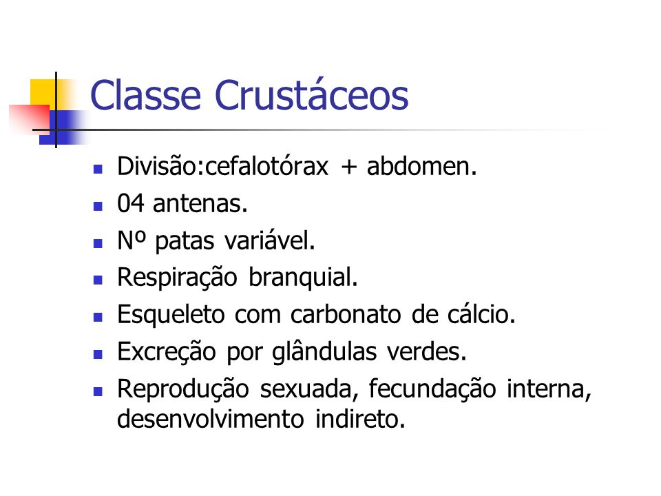 Classe Crustáceos Divisão:cefalotórax + abdomen. 04 antenas.