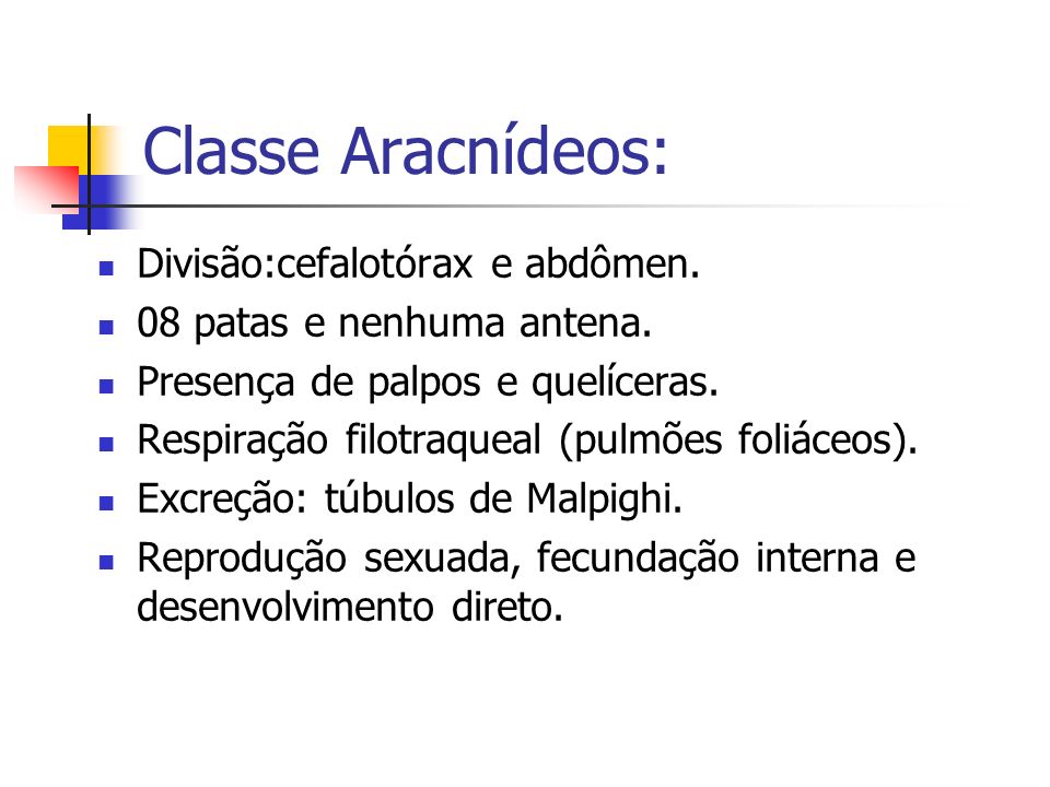 Classe Aracnídeos: Divisão:cefalotórax e abdômen.