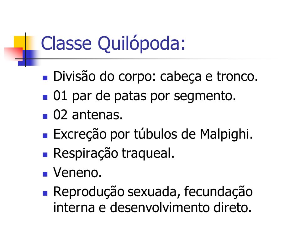 Classe Quilópoda: Divisão do corpo: cabeça e tronco.