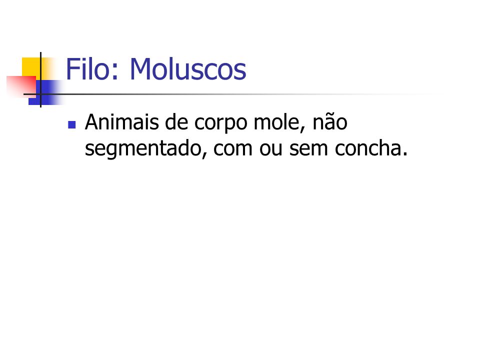Filo: Moluscos Animais de corpo mole, não segmentado, com ou sem concha.