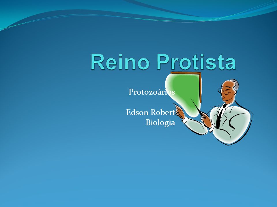 Protozoários Edson Robert Biologia
