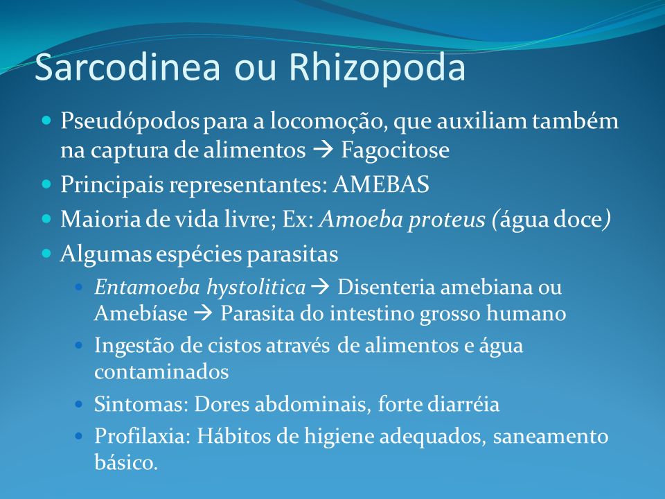 Sarcodinea ou Rhizopoda