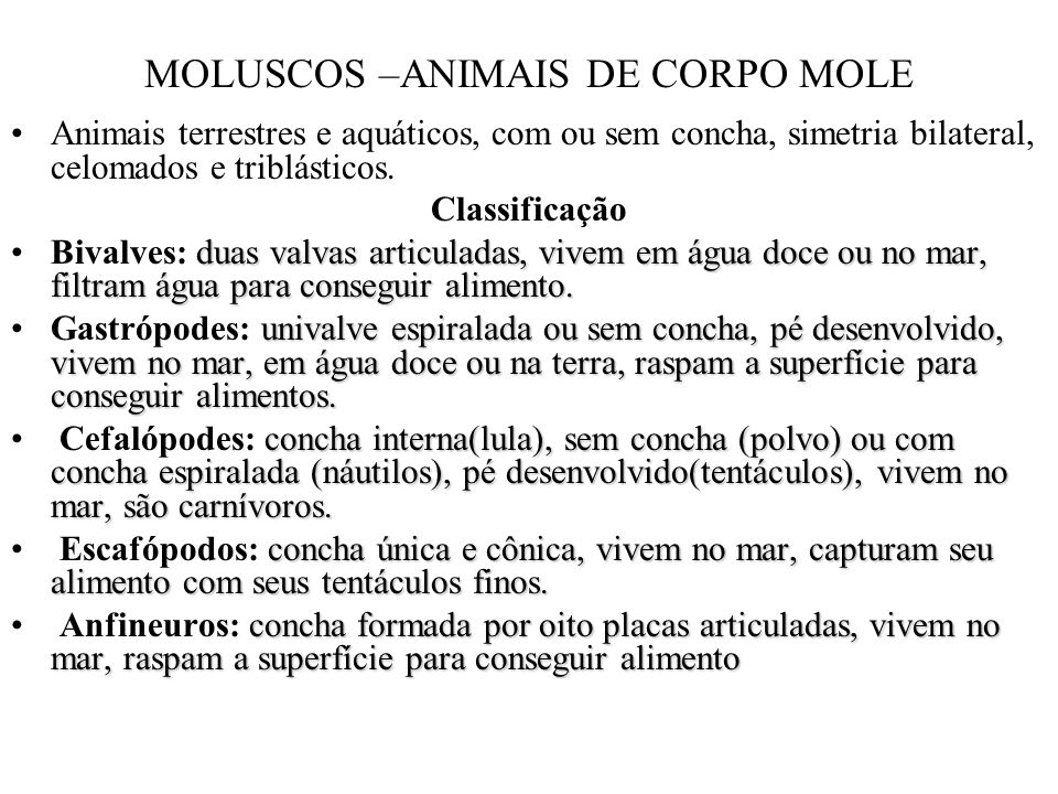 MOLUSCOS –ANIMAIS DE CORPO MOLE