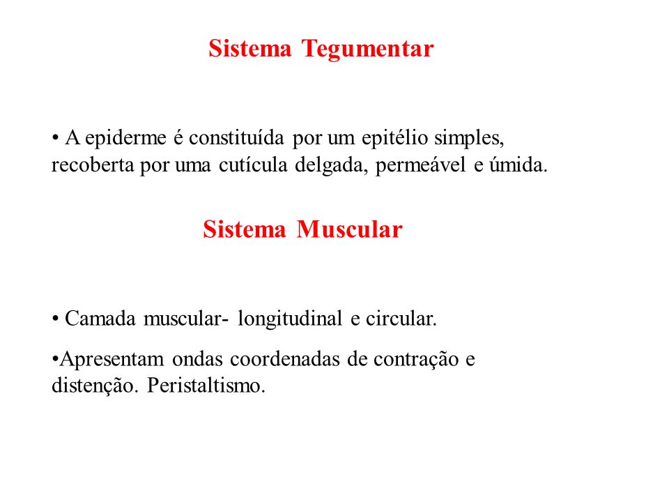 Sistema Tegumentar Sistema Muscular