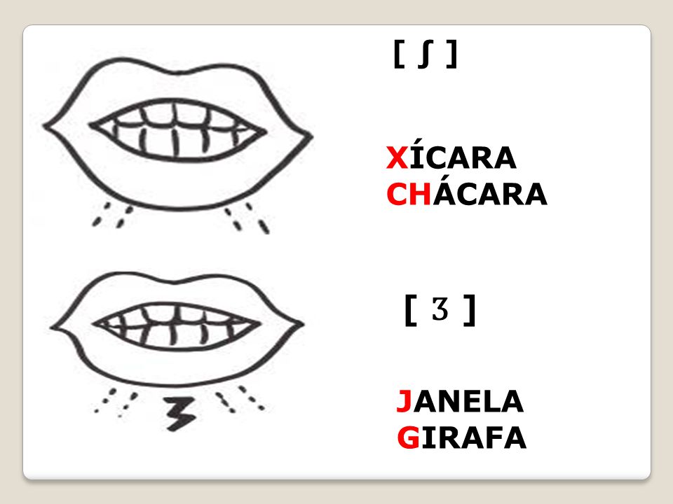 [ ∫ ] XÍCARA CHÁCARA [ Ʒ ] JANELA GIRAFA