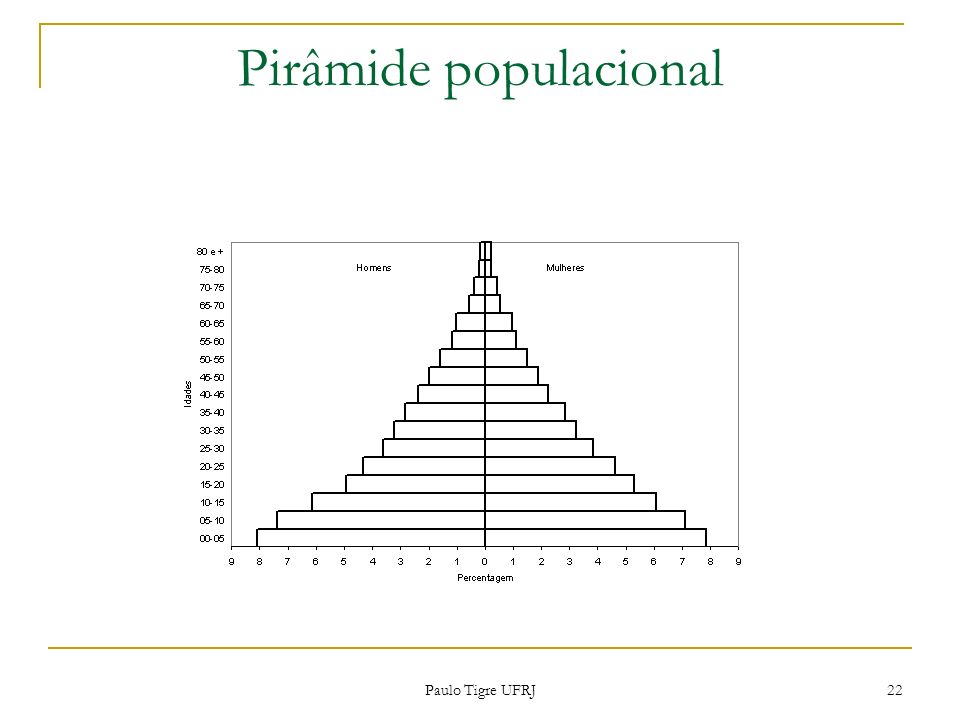 Pirâmide populacional