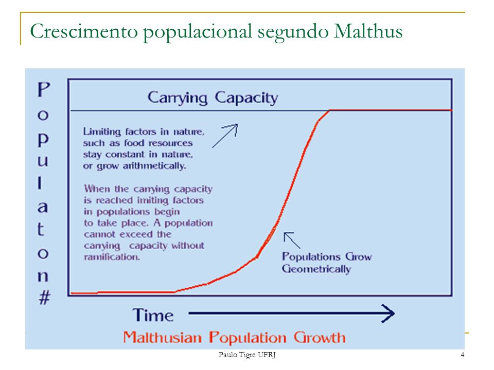 Crescimento populacional segundo Malthus