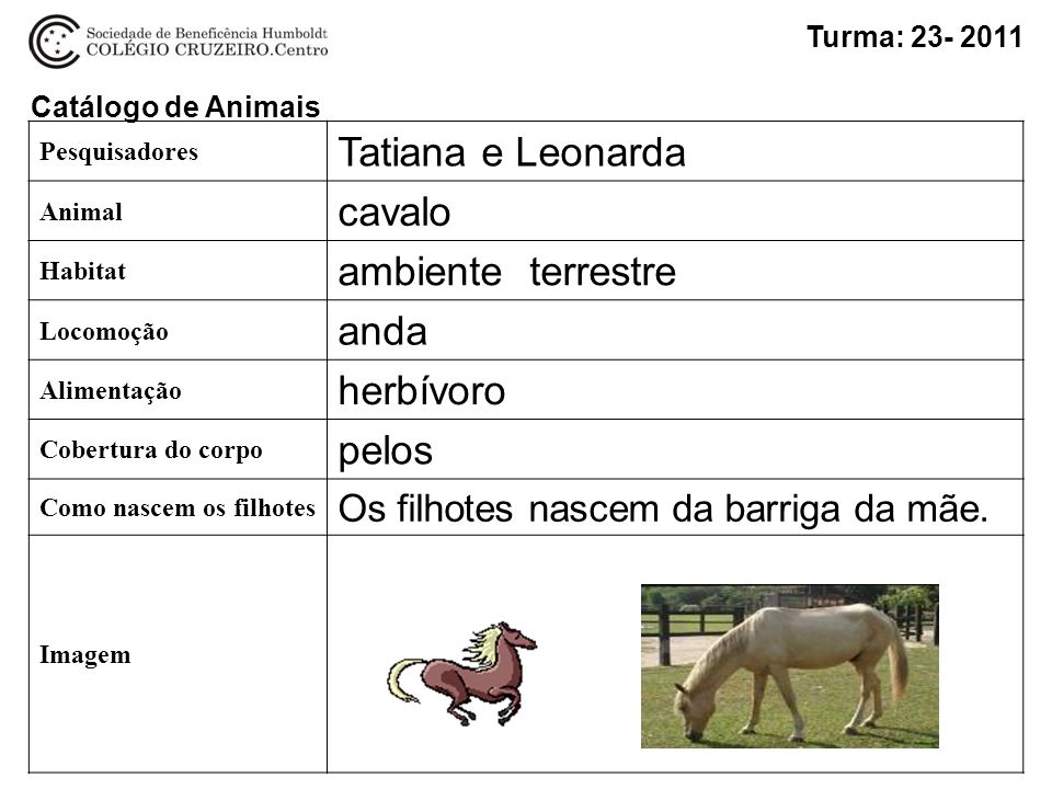 Tatiana e Leonarda cavalo ambiente terrestre anda herbívoro pelos