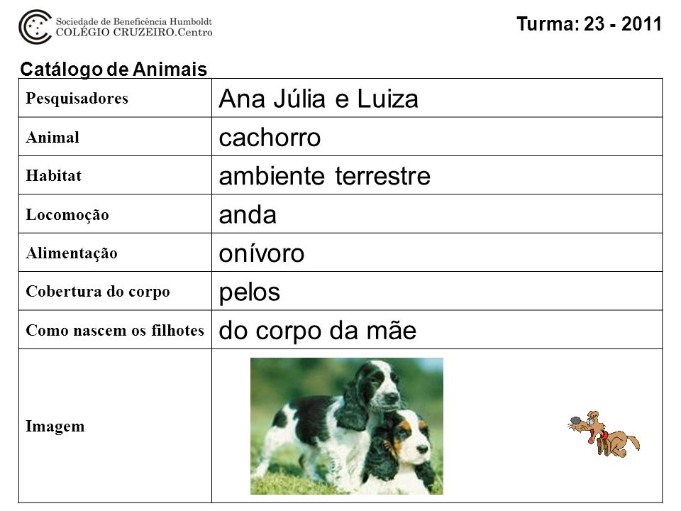 Ana Júlia e Luiza cachorro ambiente terrestre anda onívoro pelos
