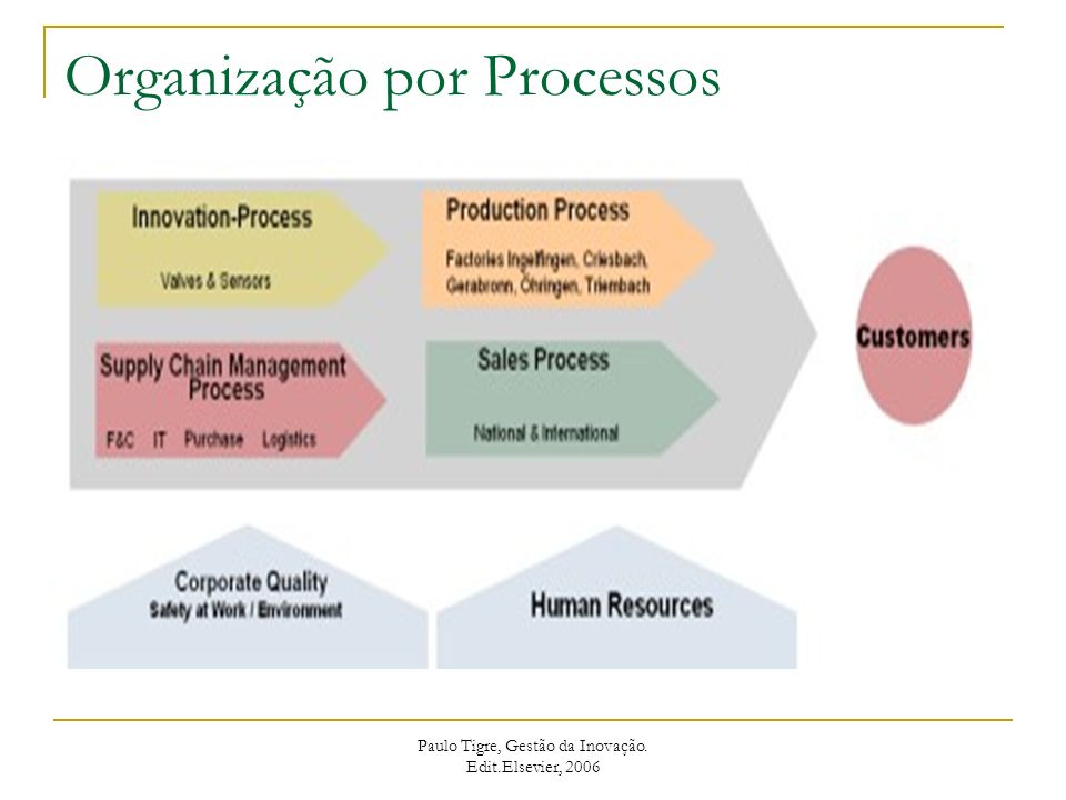 Organização por Processos