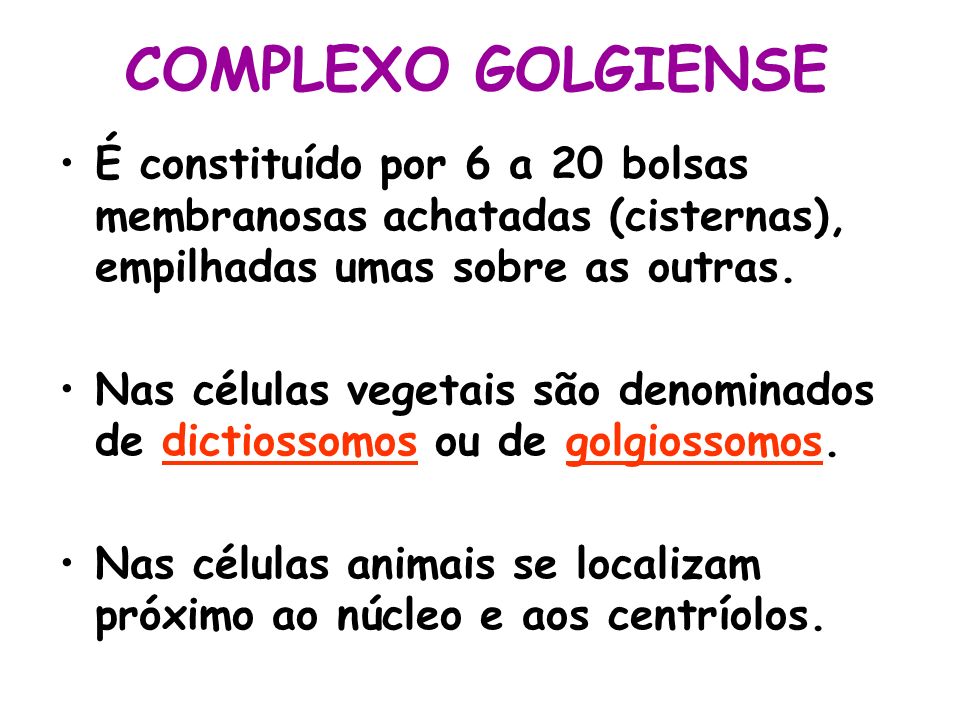 COMPLEXO GOLGIENSE É constituído por 6 a 20 bolsas membranosas achatadas (cisternas), empilhadas umas sobre as outras.