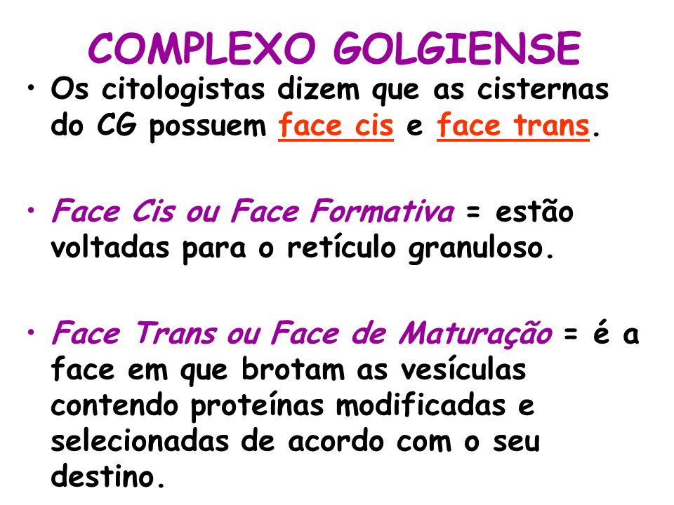 COMPLEXO GOLGIENSE Os citologistas dizem que as cisternas do CG possuem face cis e face trans.
