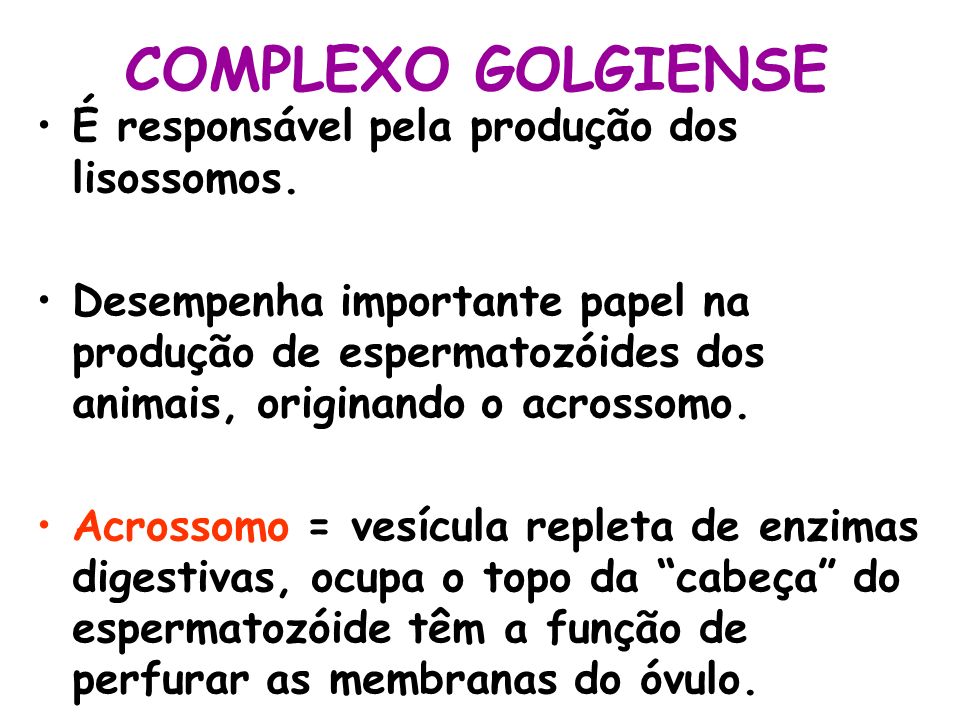 COMPLEXO GOLGIENSE É responsável pela produção dos lisossomos.
