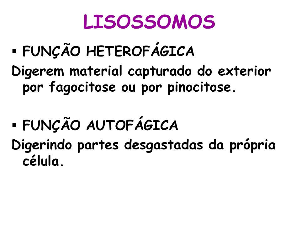 LISOSSOMOS FUNÇÃO HETEROFÁGICA