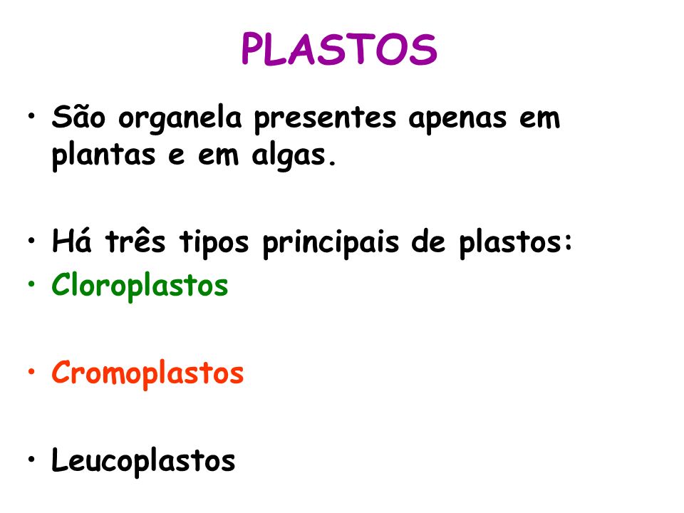 PLASTOS São organela presentes apenas em plantas e em algas.