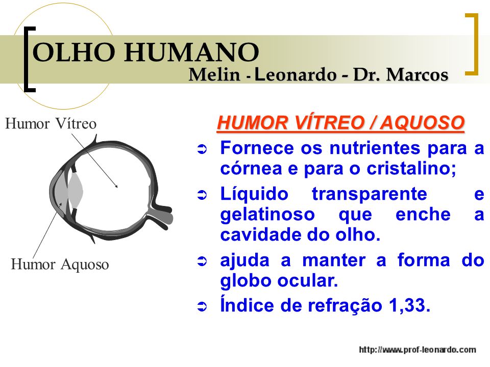 OLHO HUMANO Melin - Leonardo - Dr. Marcos HUMOR VÍTREO / AQUOSO