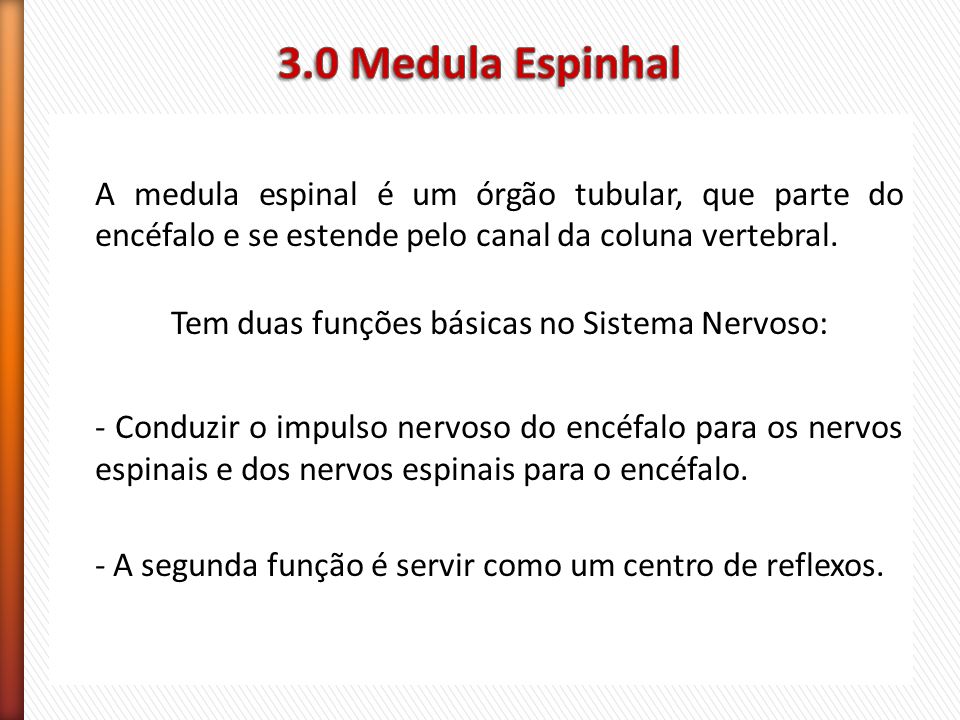 3.0 Medula Espinhal