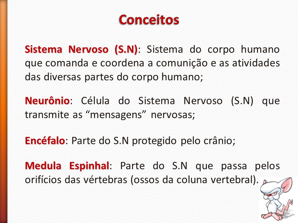 Conceitos Sistema Nervoso (S.N): Sistema do corpo humano que comanda e coordena a comunição e as atividades das diversas partes do corpo humano;